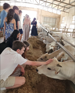 The group participated in a cheese farm and winery tour near Siena. 