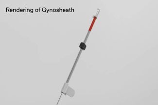 Gynosheath Rendering