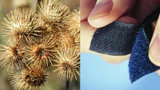 decorative course image