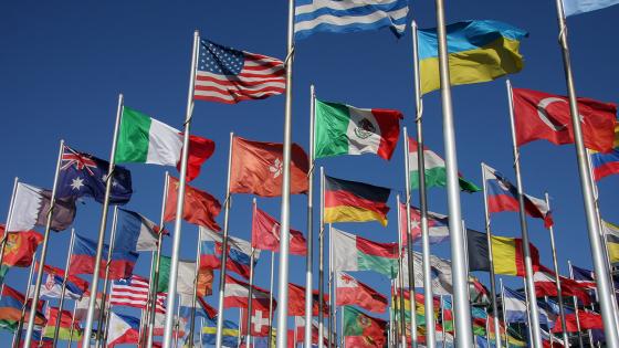 photo of many flags